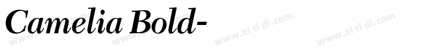 Camelia Bold字体转换 Camelia Bold字体转换